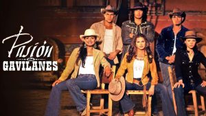 pasion de gavilanes